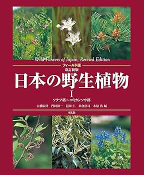 Amazon.co.jp: フィールド版 改訂新版 日本の野生植物I: ソテツ